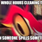 Hazbin Hotel | SPENDS 3 WHOLE HOURS CLEANING THE HOUSE; THAN SOMEONE SPILLS SOMETHING | image tagged in hazbin hotel | made w/ Imgflip meme maker