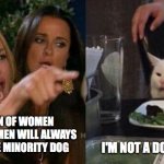 Woman yeling at cat | MAKING FUN OF WOMEN MAKING FUN OF MEN WILL ALWAYS PUT YOU IN THE MINORITY DOG; I'M NOT A DOG I'M A CAT | image tagged in woman yeling at cat | made w/ Imgflip meme maker