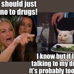 Woman yelling at cat | You should just say no to drugs! I know but if I'm talking to my drugs it's probably too late. | image tagged in woman yelling at smudge the cat | made w/ Imgflip meme maker