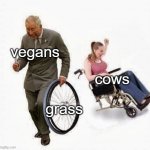 just a simple meme | vegans grass cows | image tagged in old man steals wheelchair wheel,grass,cow,vegan,funny,memes | made w/ Imgflip meme maker