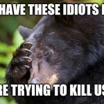yao, what have you done! bear | WHAT HAVE THESE IDIOTS DONE?! THERE TRYING TO KILL US ALL | image tagged in yao what have you done bear | made w/ Imgflip meme maker