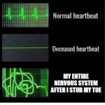 normal heartbeat deceased heartbeat | MY ENTIRE NERVOUS SYSTEM AFTER I STUB MY TOE | image tagged in normal heartbeat deceased heartbeat | made w/ Imgflip meme maker
