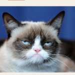 Grumpycat