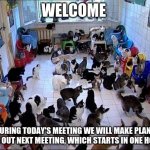 Better living through bureaucracy | WELCOME; DURING TODAY'S MEETING WE WILL MAKE PLANS FOR OUT NEXT MEETING, WHICH STARTS IN ONE HOUR | image tagged in crazy cat lady,better living,bureaucracy,herding cats,more meetings please,pay attention | made w/ Imgflip meme maker