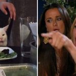 Women Yelling at cat reversed meme