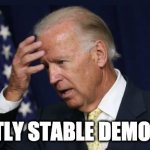 Biden Mostly Stable Democrat