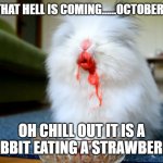 Killer bunny is coming. | TELL THEM THAT HELL IS COMING......OCTOBER IS COMING. OH CHILL OUT IT IS A RABBIT EATING A STRAWBERRY. | image tagged in killer bunny | made w/ Imgflip meme maker