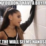 Ariana Grande Wall | WHEN YOU DON'T HAVE A BOYFRIEND; BUT THE WALL SEEMS HANDSOME | image tagged in ariana grande wall | made w/ Imgflip meme maker