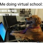 Made this meme instead of doing my online classes | Me doing virtual school: | image tagged in i have no idea what i'm doing dog,memes,school,coronavirus | made w/ Imgflip meme maker