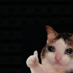 Thumbs up crying cat meme