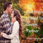 The Best Website to Meet Your Dream Partner meme