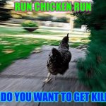 Run Chiken | RUN CHICKEN RUN; OR DO YOU WANT TO GET KILLED | image tagged in run chiken | made w/ Imgflip meme maker