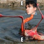 Flamingo Fail | E; E | image tagged in flamingo fail | made w/ Imgflip meme maker