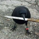 Corvid19 | NOT GOING OUT TODAY; SCARED OF CORVID 19 | image tagged in thug life crow | made w/ Imgflip meme maker