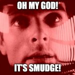 Oh My God! | OH MY GOD! IT'S SMUDGE! | image tagged in memes,oh my god,smudge the cat,smudge meme,cats | made w/ Imgflip meme maker