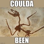 What N' Fossilization | COULDA; BEEN | image tagged in what n' fossilization | made w/ Imgflip meme maker