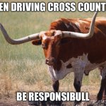 Bull with big horns | WHEN DRIVING CROSS COUNTRY... BE RESPONSIBULL | image tagged in bull with big horns | made w/ Imgflip meme maker