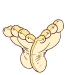 Lion Feet Template