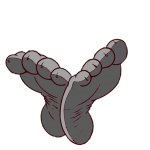 Raccoon Feet Template