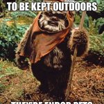 A punny meme | EWOKS AREN’T MEANT TO BE KEPT OUTDOORS; THEY’RE ENDOR PETS | image tagged in ewok,outdoors,indoors,pun,endor,meme | made w/ Imgflip meme maker