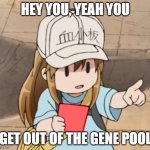Get out now | HEY YOU, YEAH YOU; GET OUT OF THE GENE POOL | image tagged in platelet holding a red card,get out of the gene pool,dna,anime,funny,memes | made w/ Imgflip meme maker