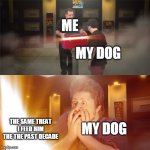 Jontron Reveal | ME; MY DOG; THE SAME TREAT I FEED HIM THE THE PAST DECADE; MY DOG | image tagged in jontron reveal | made w/ Imgflip meme maker