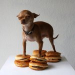 Chihuahua burger stand