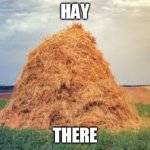 Hay There | HAY; THERE | image tagged in hay | made w/ Imgflip meme maker