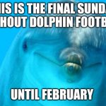 Dolphin  | THIS IS THE FINAL SUNDAY WITHOUT DOLPHIN FOOTBALL; UNTIL FEBRUARY | image tagged in dolphin,miami dolphins,nfl,nfl memes | made w/ Imgflip meme maker