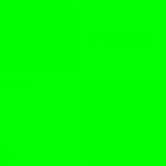 Light green background color