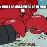 make minecraft memes, not war. | FRIEND: WHAT DO OBSERVERS DO IN MINECRAFT
ME: | image tagged in observe spongebob | made w/ Imgflip meme maker
