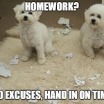 Dog Ate Homework | HOMEWORK? NO EXCUSES, HAND IN ON TIME | image tagged in dog ate homework | made w/ Imgflip meme maker