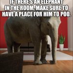 Elephant In The Room | IF THERE'S AN ELEPHANT IN THE ROOM, MAKE SURE TO HAVE A PLACE FOR HIM TO POO. | image tagged in elephant in the room | made w/ Imgflip meme maker