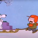 snoopy charlie brown iditarod sled dog meme