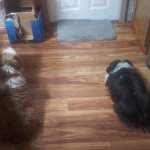 Randy and Marley
