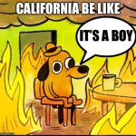 When your gender reveal party sets half of California on fire... | CALIFORNIA BE LIKE; IT’S A BOY | image tagged in this is fine,california,california fires,gender reveal | made w/ Imgflip meme maker