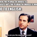 Why are you the way that you are | WHEN THE PLURAL OF HOUSE IS HOUSES BUT THE PLURAL OF MOUSE IS MICE; ME TO ENGLISH: | image tagged in why are you the way that you are | made w/ Imgflip meme maker