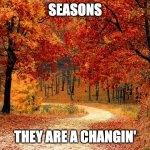 Road in Autumn | SEASONS; THEY ARE A CHANGIN' | image tagged in road in autumn | made w/ Imgflip meme maker