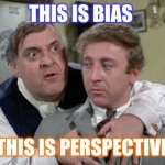 Bialistock & Bloom | THIS IS BIAS; THIS IS PERSPECTIVE | image tagged in bialistock bloom | made w/ Imgflip meme maker