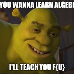 Cursed Algebra | SO YOU WANNA LEARN ALGEBRA? I'LL TEACH YOU F{U} | image tagged in sexy shrek | made w/ Imgflip meme maker