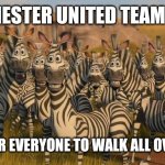 Madagascar | MANCHESTER UNITED TEAM PHOTO; READY FOR EVERYONE TO WALK ALL OVER THEM | image tagged in madagascar | made w/ Imgflip meme maker