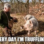 truffle pig | EVERY DAY I'M TRUFFLING... | image tagged in truffle pig | made w/ Imgflip meme maker