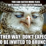 Twisted Proverbs No. 1 | YOU CAN CATCH MORE FLIES WITH HONEY THAN WITH VINEGAR... EITHER WAY, DON'T EXPECT TO BE INVITED TO BRUNCH | image tagged in twisted proverbs | made w/ Imgflip meme maker