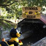 tunnel of bees