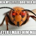 wasp | ME WHEN MY LITTLE BROTHER HITS ME; AFTER I MAKE HIM MAD | image tagged in wasp | made w/ Imgflip meme maker