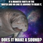 If a manatee farts | IF A MANATEE FARTS IN THE WATER AND NO ONE IS AROUND TO HEAR IT, DOES IT MAKE A SOUND? | image tagged in cosmic manatee,manatee,ocean,fart,existential,wisdom | made w/ Imgflip meme maker