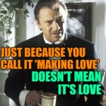 Just Because Love | JUST BECAUSE YOU CALL IT 'MAKING LOVE'; DOESN'T MEAN
IT'S LOVE | image tagged in mr wolf,love,life lessons,so true memes,just because,lmao | made w/ Imgflip meme maker