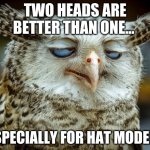 Twisted Proverbs No. 8 | TWO HEADS ARE BETTER THAN ONE... ESPECIALLY FOR HAT MODELS | image tagged in twisted proverbs | made w/ Imgflip meme maker