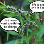 Little did they know.... | life is good isn't it dear? oh i never want anything 
to change | image tagged in caterpillar02,change | made w/ Imgflip meme maker