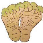 Lizard Soles Template
